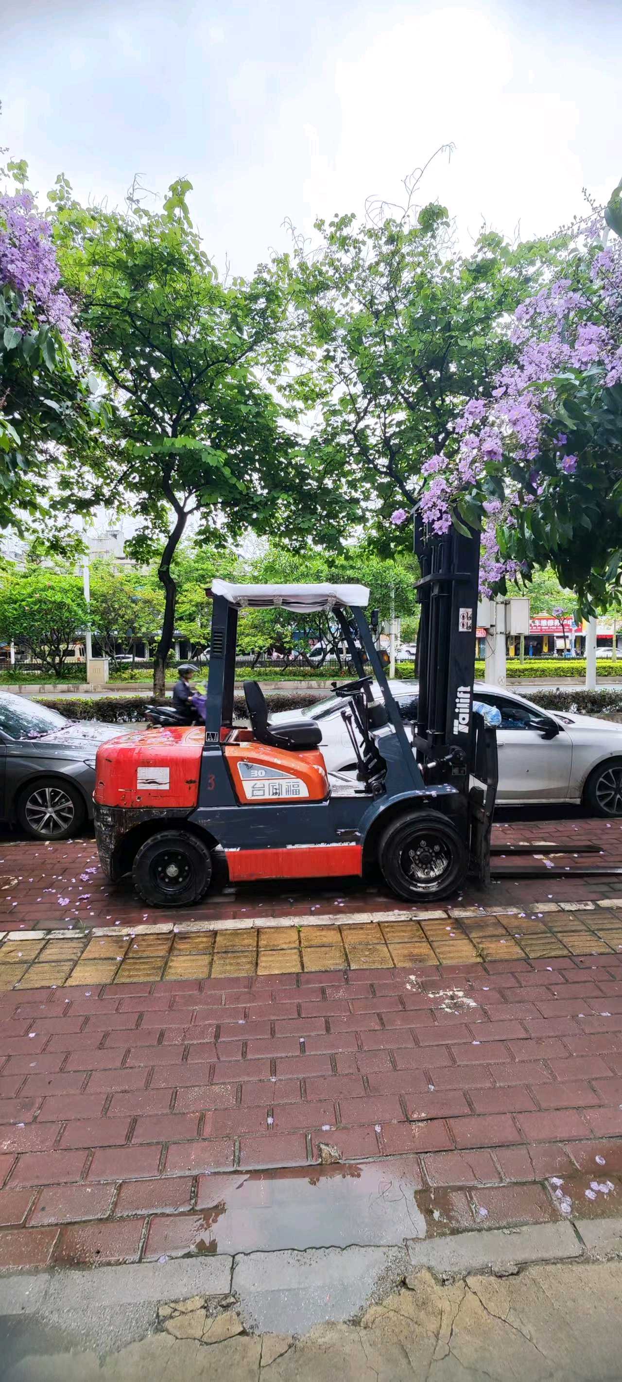 广西南宁二手台励福7L系列3吨2019款升高4.5米柴油叉车