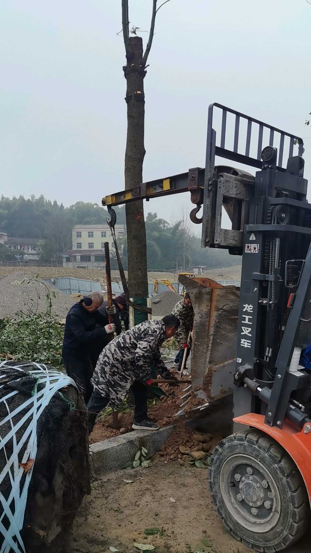 二手龙工3.5吨柴油叉车出租